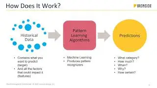 AI & ML Intro for Business Leaders - Take30 with a Data Scientist