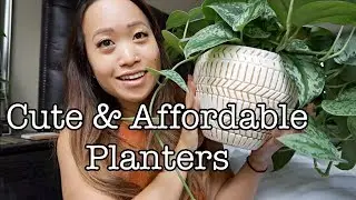 AFFORDABLE PLANT POTS | SHOP WITH ME