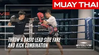 Muay Thai | How To Throw A Basic Lead Side Fake And Kick Combination