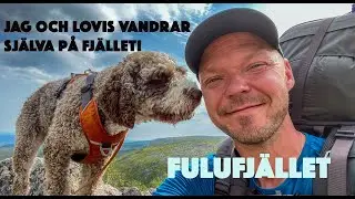 Vandring med hund på Fulufjället - Min första vlogg!