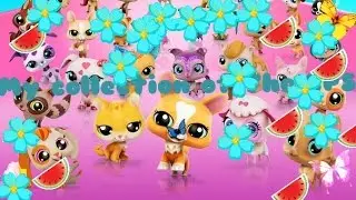 Моя коллекция LPS(LITTLEST PET SHOP)|my collection of the LPS