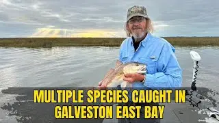 Quick Fishing Trip Out In Galveston East Bay Catching Multiple Species On Artificial Lures