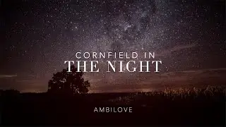 Cornfield in the night - ASMR Night Ambience 🌘🍂🦗