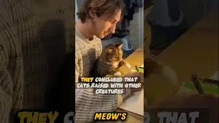 Cats know they are cats? 😹
