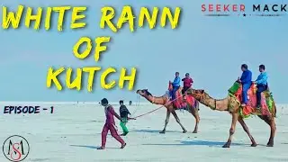 RANN OF KUTCH | WHITE DESERT | Rann Utsav 2024 | Bhuj to Dhordo | कच्छ नहीं देखा तो कुछ नहीं देखा |