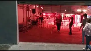 WhatsApp Video 2022 10 03 at22 10 32 18