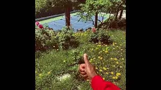 [FREE] TYLER, THE CREATOR TYPE BEAT 