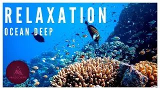 🎧 Ultimate Relaxing Headphone Music | Soothing Instrumental Music | 