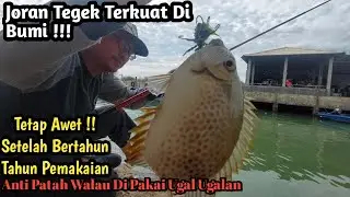 JORAN TEGEK MURAH Dan KUAT Untuk Mancing Baronang!! Teruji 3 Tahun Anti Patah
