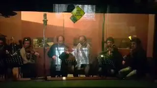Özcan Şenyaylar keman grubu