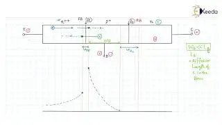 Mastering Minority Carrier Distribution In Bipolar Junction Transistors For GATE