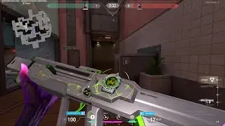 Spectrum bulldog ace