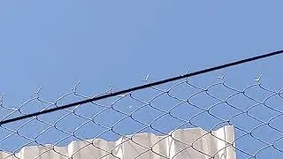 Berry Aviation EMB-120ER Brasilia (2)