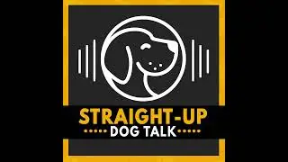How Nutrition, Supplements & Emotional Support Shape Cancer Care for Dogs