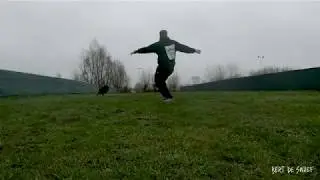 Toss and Fetch Dogfrisbee training with Texas in the rain