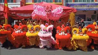 Numerous Lion and Dragon Dance