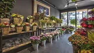 Topbloemen WSB Film