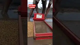 nursery tray paddy seeding & sowing machine #kisanagritech #agriculture #farming #agritech #farmer