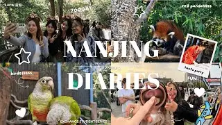 Nanjing Diaries - Ep 4: Have fun & Learn 🎢🏛️