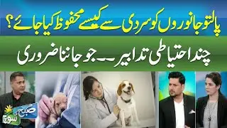 How to Protect Pets from Winter Cold | Essential Safety Tips for Pet Owners | Subh ki souch |