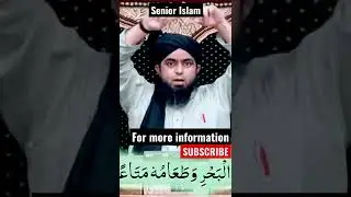 Sea food halal or haram whale fish halal #Alimirza # short