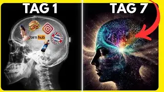 Programmieren Sie Ihr GEHIRN neu f&uuml;r ERFOLG (in nur 7 Tagen) &ndash; Dr. Joe Dispenza