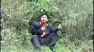 Latin Show Como Yo Nadie Te Amara