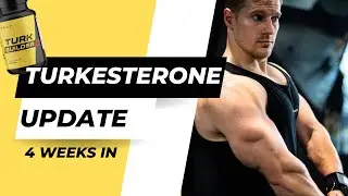 Does Turk Work? (4 Week Update)