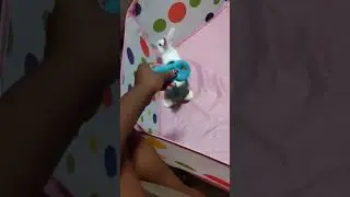Rabbit playing with squeaky toy