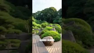 Black Japanese Garden Ideas: Build a Minimalist Zen Oasis with Stylish Simplicity