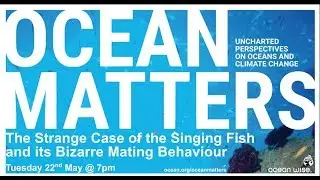 The Strange Case of the Singing Toadfish and its Bizarre Mating Behaviour | Ocean Matters Lecture