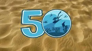 Concours photos 50 ans ULi&egrave;ge Sports Plong&eacute;e