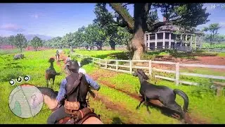 Red Dead Redemption 2 [Let's Play] Horse Flesh For Dinner (Mission 32)