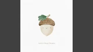 Little Acorn Falling Asleep