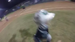 720p Chihuahuas vs Blue Spaders