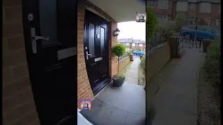 3 Naughty Cats Ring the Doorbell! 😂😺 #FunnyCats #ShortVideo #CatShorts #ForYou #CatVideos #CatLovers