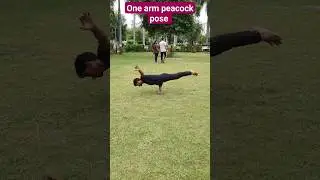 Ekahasta mayurasana#one arm peacock pose #shorts #viral