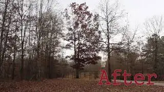 Before and After Stabilizing