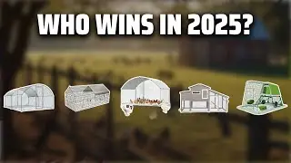 Топ-5 лучших куриных тракторов 2025 года — обязательно к просмотру перед покупкой!