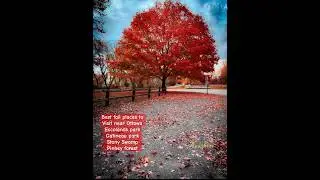 🍁Best Fall Places to visit near Ottawa 🍁  #canada #fallfoliage #autumncolors #bengalivlog