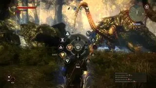 The Witcher 2 chapter 1 Boss