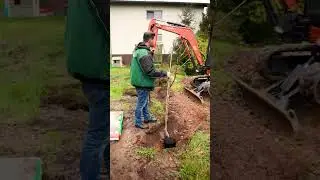 Auf viele neue B&auml;ume! Die passenden Utensilien & Materialien findet ihr bei uns in Wartenberg 🌳