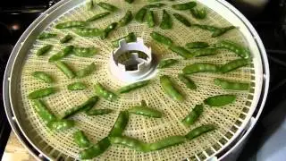 Dehydrating Sugar Snap Peas