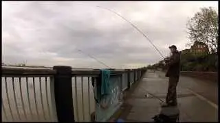 Urban fishing London -Tales from the Thames - Blog 1