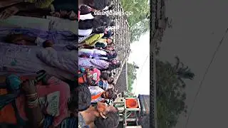 Bhogapur Laxmi puja bhasani vs juragadia Puja bhasani #shortvideo