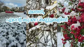 എന്റമ്മോ.. എന്ത് ഭംഗി, മഞ്ഞ് കാണാൻ #snowfall 