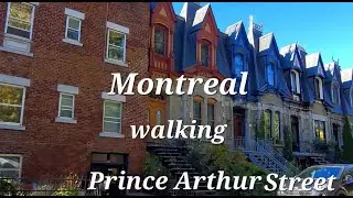 Montreal Downtown walking Prince Arthur Street