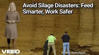 Don&rsquo;t Risk It! Smart Silage Handling That Saves Lives
