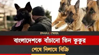 দেশ রক্ষাকারী কুকুরদের শেষ পরিণতি কী | Police Dog | CTC unit | Heroic dogs | Animal Documentary