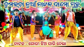 Damo Guru Natak Video | 8093489172 | ଗୋରୀ ଝିଅ ସାରି ଦେଲା | Kusdev guru | Koraputia Natok #damoguru
